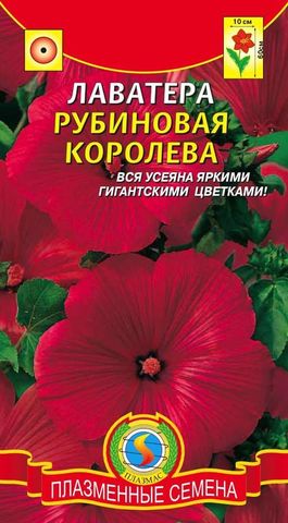 Семена Лаватера Рубин, Одн