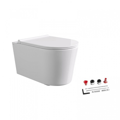 Alice Form 22300101SET Унитаз 50х35см., подвесной, безободковый, с сиденьем и крышкой с микролифтом, с набором для крепления, цвет: белый глянцевый фото