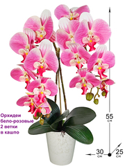 Искусственная Орхидея Фаленопсис 2 ветки бело-розовая латекс 55см в кашпо