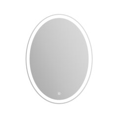 BelBagno SPC-VST-750-900-LED-TCH Зеркало с встроенным светильником и кнопочным выключателем фото