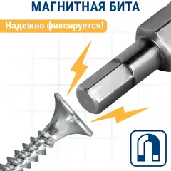 Бита отверточная ПРАКТИКА Профи HEX 4 х 25мм (2 шт) (035-677)