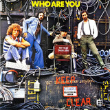 WHO, THE: Who Are You (Виниловая пластинка)