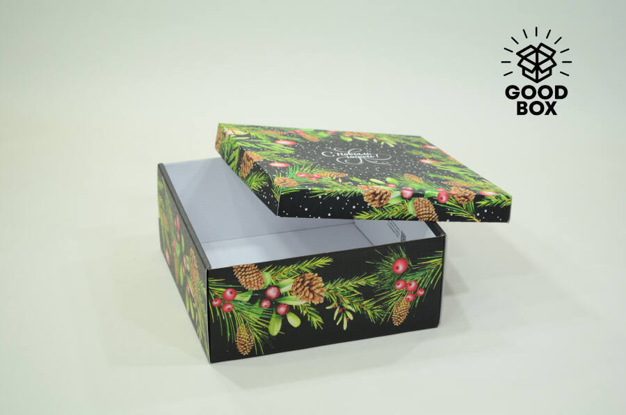 Коробка 250*250*110 