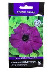 Петуния грандифлора Танго Пурпурная (Поиск)