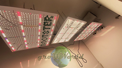 В220хД160хШ80 ГроуБокс Rootster 500W LED SUPERSILENT