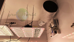 В220хД160хШ80 ГроуБокс Rootster 500W LED SUPERSILENT