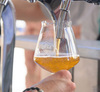 Baladin Italy Alley on tap