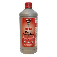Root Complex