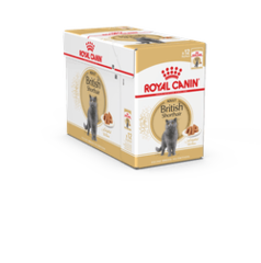Влажный корм Royal Canin British Shorthair для взрослых кошек породы Британская короткошерстная, в соусе, 28 шт x 85 г