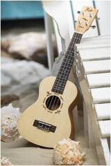 Укулеле концерт FLIGHT DUC325 SP/ZEB