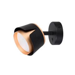 Настенный светильник Arte Lamp AMAKS A8028AP-1BK