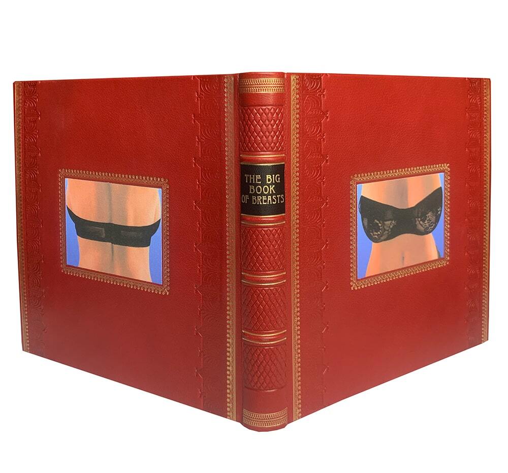 The Big Book of Breasts