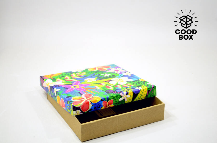 Коробка 250*250*50 