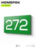 Номер на дверь 272, табличка на дверь для офиса, квартиры, кабинета, аудитории, склада, зеленая 120х70 мм, Айдентика Технолоджи