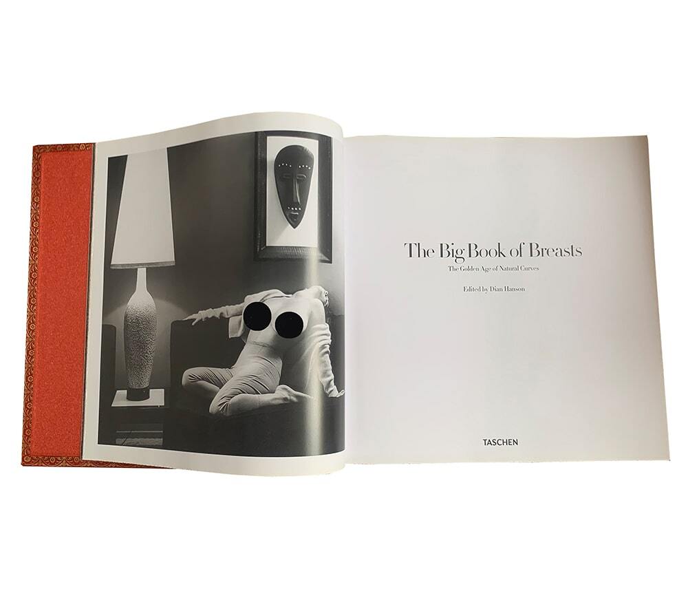 The Big Book of Breasts