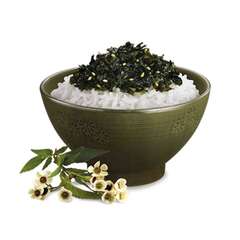 Хлопья морской капусты с кунжутом, СИБУКИ / SIBUKI / 40 г