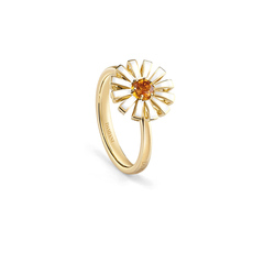 Damiani 20093084