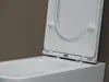 Ceramica Nova Пьетро (Pietro) CN4015T Унитаз подвесной, смыв торнадо, 53x35x35, крышка - сиденье из дюропласта с микролифтом и функцией быстрого снятия, скрытые крепления, цвет белый