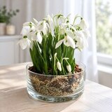 Подснежники из холодного фарфора ручной работы — фото 6