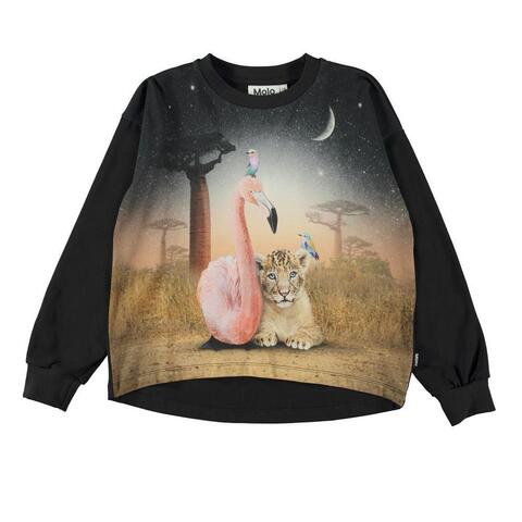 Футболка с длинным рукавом Molo Reniza Flamingo and Cud