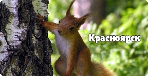 Урал Сувенир - Красноярск кружка керамика 300 мл №0023