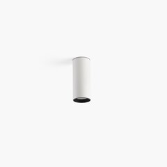 Потолочный светильник Fost CEILING белый Ø70 28W 23° 3000K CRI90