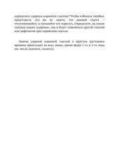 Испанский для детей. Отклоняющиеся глаголы. Серия © Лингвистический Реаниматор