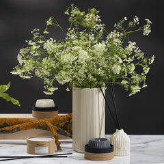 Диффузор ароматический vetiver & black cypress из коллекции edge, 200 мл, бежевый