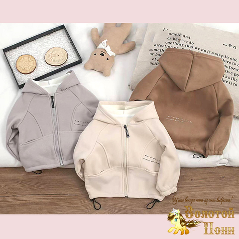 Толстовка хл/начес м (1-6) 260829-Y1059