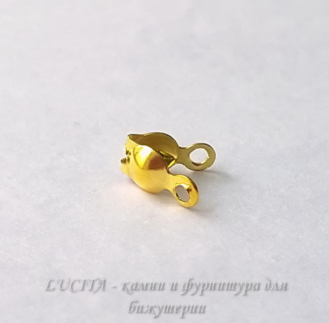 Каллоты 8х4 мм (цвет - золото), 20 штук (WP_20140723_14_28_27_Pro)