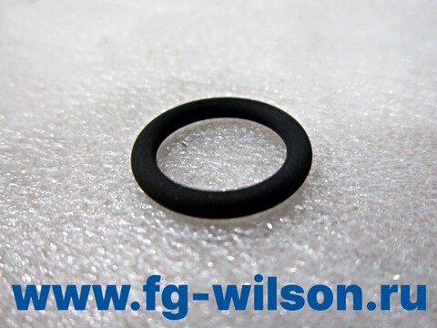 Кольцо уплотнительное / O RING АРТ: 973-894