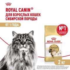 Корм для кошек