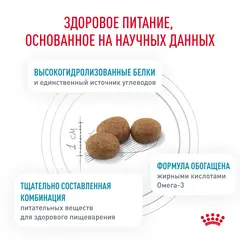 Royal Canin Hypoallergenic DR21 сухой корм для взрослых собак при пищевой аллергии или непереносимости, 14 кг