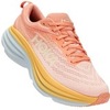 SHELL CORAL / PEACH PARFAIT