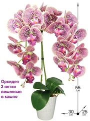 Искусственная Орхидея 2 ветки вишневая латекс 55см в кашпо