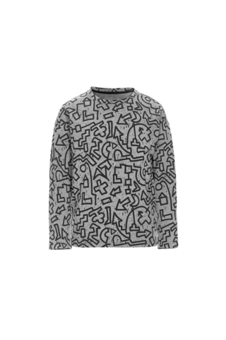 Толстовка SSLWB-938-14418-804