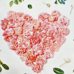 Открытка с 4 молочными шоколадками 