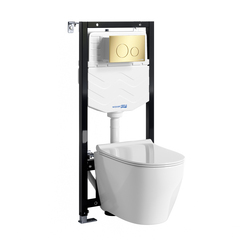 WasserKRAFT Aller 10TLT.010.ME.PG02.H002 Система инсталяции с унитазом фото