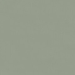 Обои 7308-12 Physalis/Физалис Euro Decor