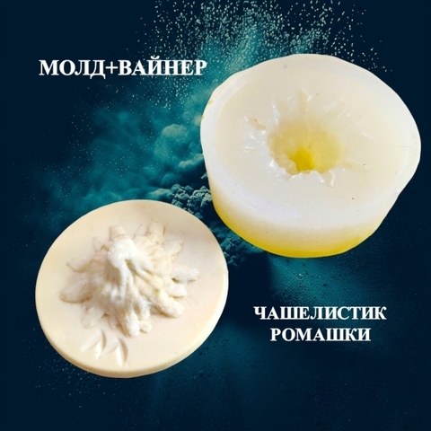 Молд пластиковый+Вайнер чашелистик 