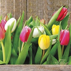 Салфетки для декупажа трехслойные, 33*33 см,