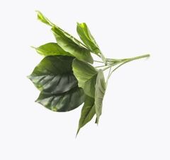 Куст лимонника, искусственная зелень, 9 листьев, 34 см., набор 2 ветки.