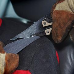 Мультитул Leatherman OHT Coyote, 16 функций, чёрный нейлоновый чехол (831640) | Multitool-Leatherman.Ru