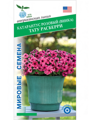 Катарантус розовый Тату Расберри, семена 5 шт