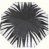 Зонт складной Ferre Milano GF 6002-68 Polvere di stelle
