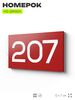 Номер на дверь 207, табличка на дверь для офиса, квартиры, кабинета, аудитории, склада, красная 120х70 мм, Айдентика Технолоджи
