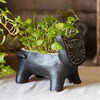 Чаша Black Cat A — фото 4