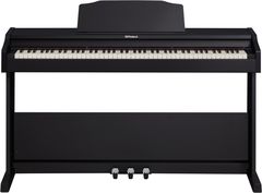 Roland RP-102
