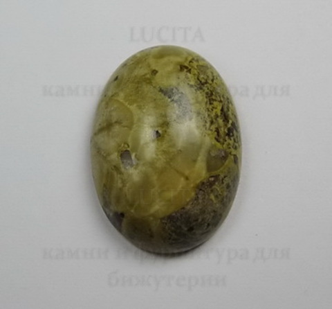 Кабошон Яшма "Шкура леопарда"  25х18 мм №11 ()