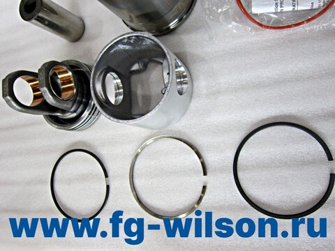 Поршень в сборе с кольцами и гильзой / KIT,PISTON/LINE АРТ: 10000-50041
